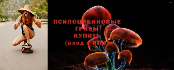 прущие грибы Навашино