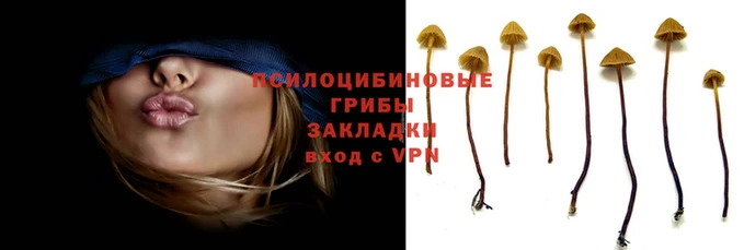 прущие грибы Навашино