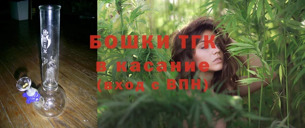 прущие грибы Навашино