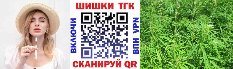 Каннабис планчик  Пионерский 